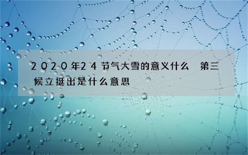 2020年24节气大雪的意义什么 第三候立挺出是什么意思